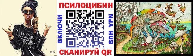 Купить где  Медынь  Псилоцибиновые грибы ЛСД 